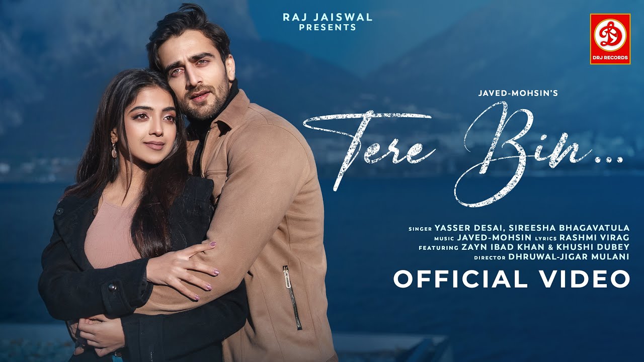 Tere Bin Lyrics in Hindi